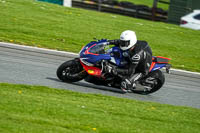 anglesey;brands-hatch;cadwell-park;croft;donington-park;enduro-digital-images;event-digital-images;eventdigitalimages;mallory;no-limits;oulton-park;peter-wileman-photography;racing-digital-images;silverstone;snetterton;trackday-digital-images;trackday-photos;vmcc-banbury-run;welsh-2-day-enduro